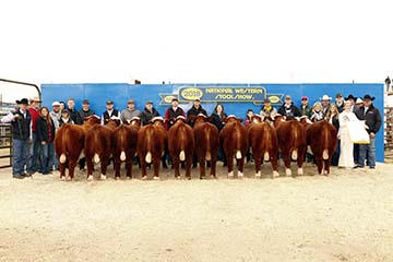Reserve Champion Carload Denver 2018