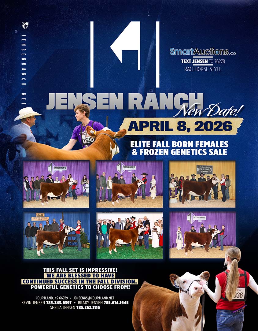 Jense Ranch Annual Bull Sale